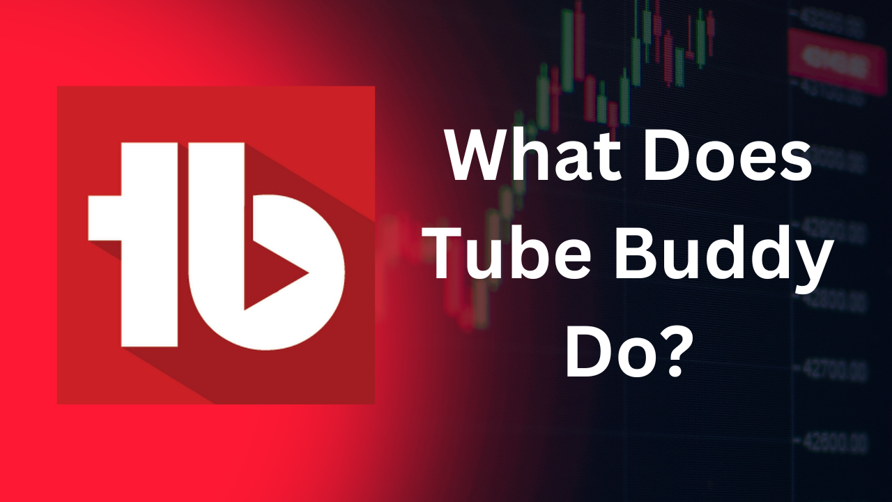 What Does Tube Buddy Do